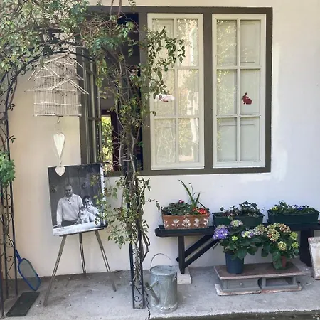 Bed and Breakfast La Quercia - La Maison Des Arts 3*