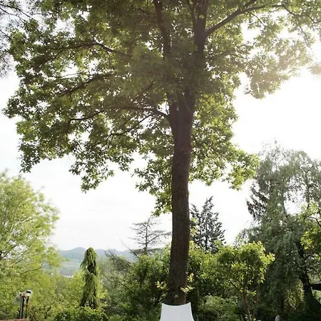 La Quercia - La Maison Des Arts Bed & Breakfast 3*