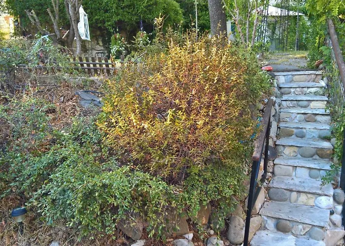 住宿加早餐酒店 La Quercia - La Maison Des Arts Vezzano sul Crostolo